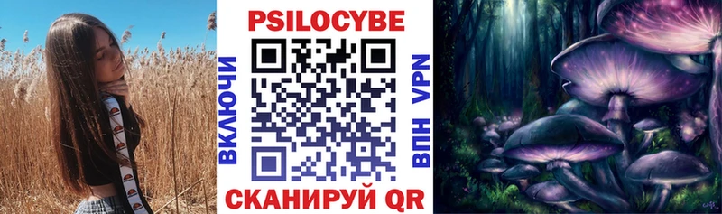 что такое Волгореченск kraken как зайти Псилоцибиновые грибы ЛСД